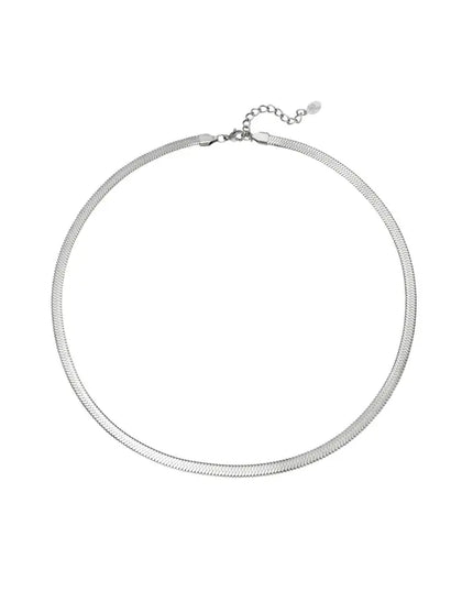 snake ketting