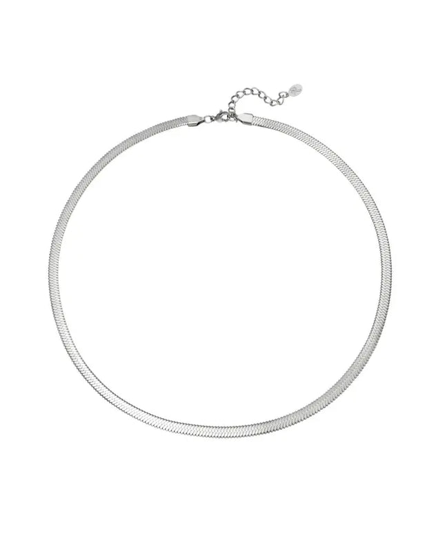 snake ketting