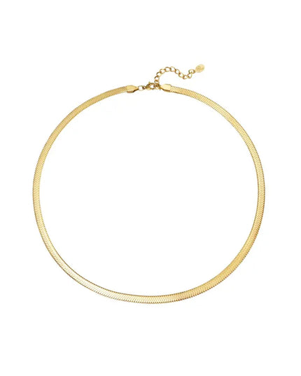 snake ketting