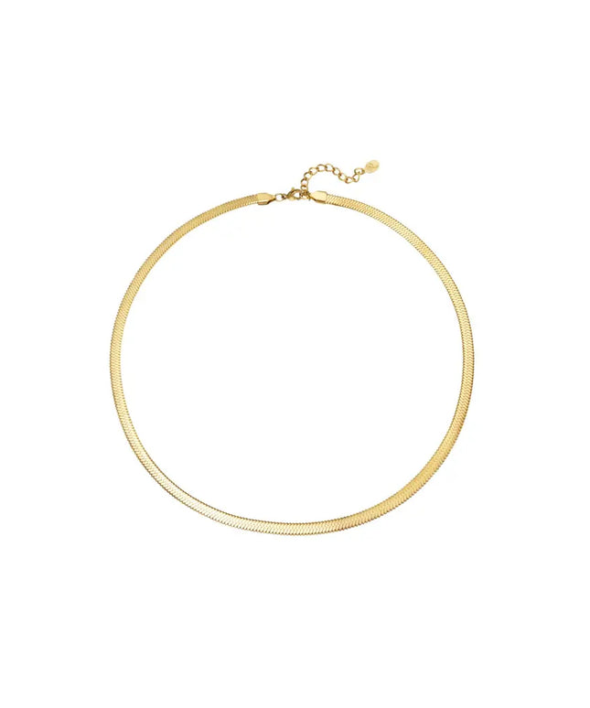 snake ketting