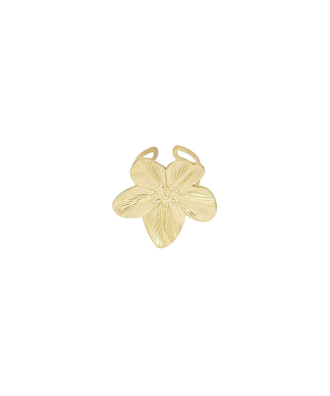 spring ring
