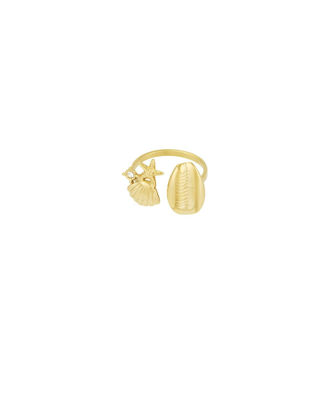 oceaan ring
