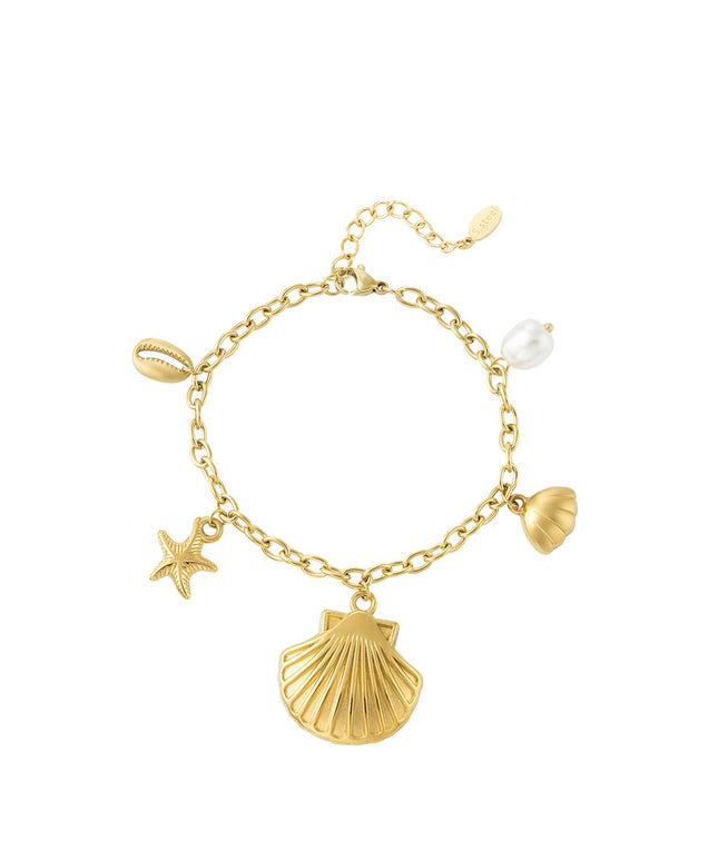seashell armband