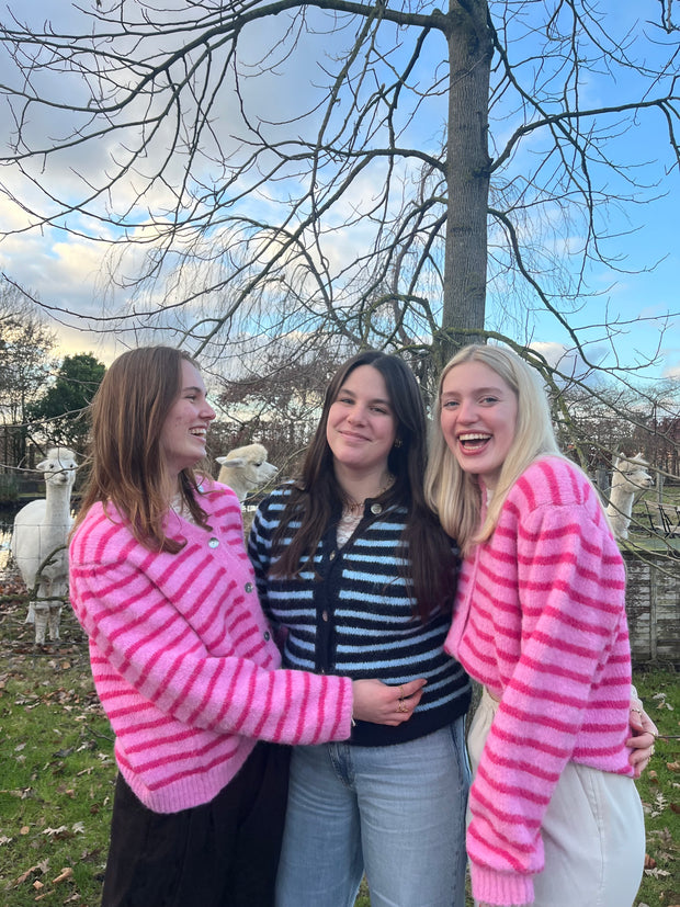 <h3>Bekijk alle kleding hier </h3>