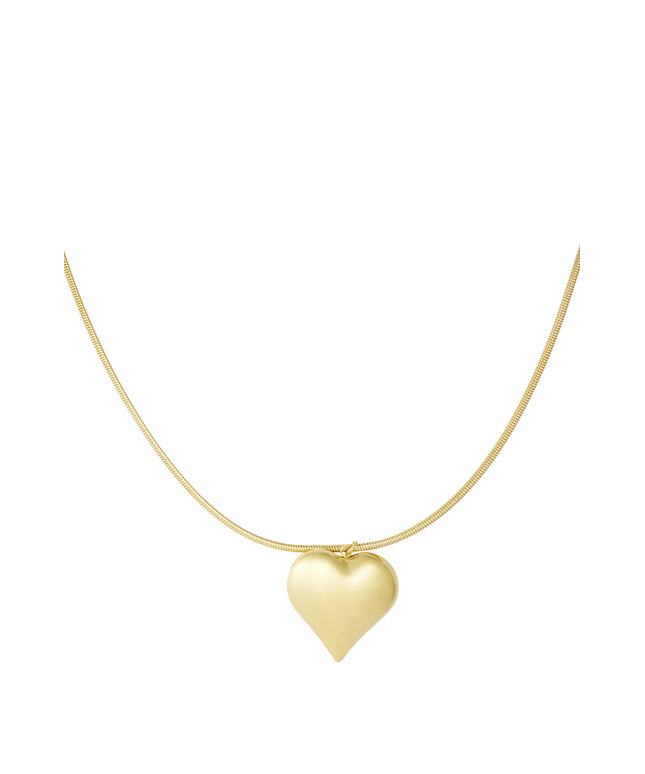 Groot hart ketting